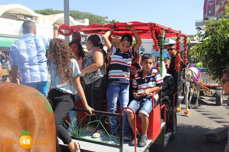 re7la ludj31 (3).JPG